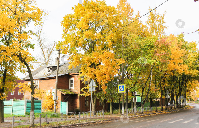 Скачать Осенние деревья на улице Суворова. фотосток Ozero