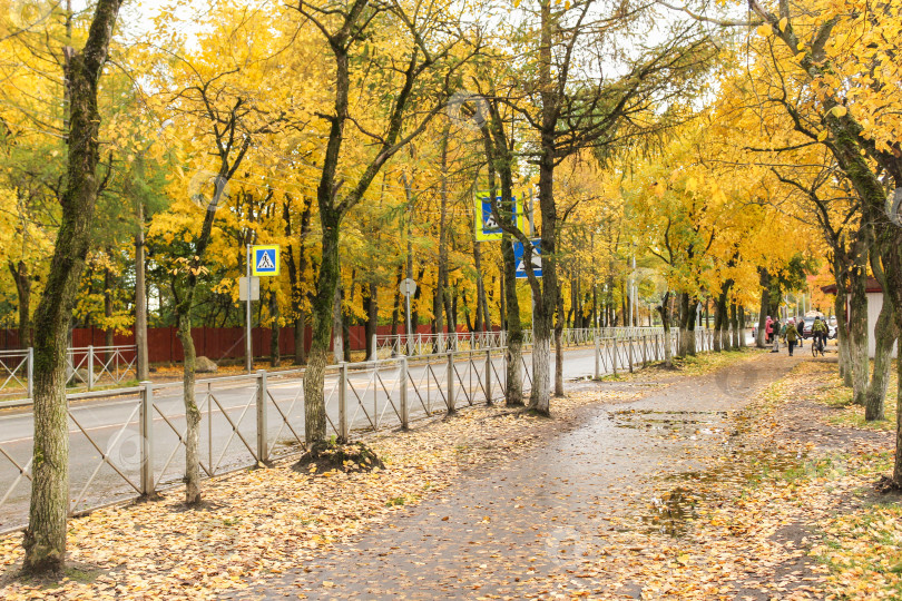 Скачать Улица Суворова осенью. фотосток Ozero