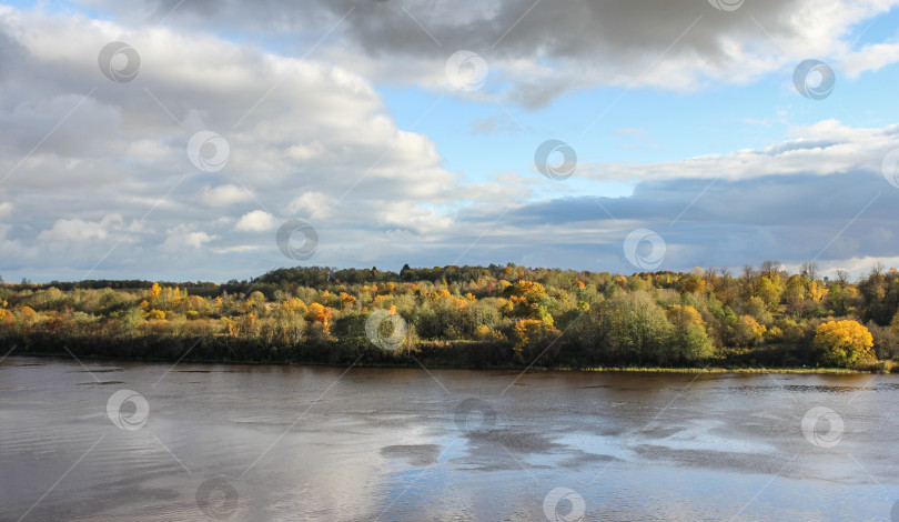 Скачать Осенний лес за рекой. фотосток Ozero