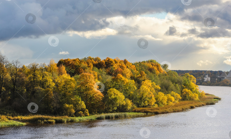 Скачать Разноцветный лес на берегу реки. фотосток Ozero