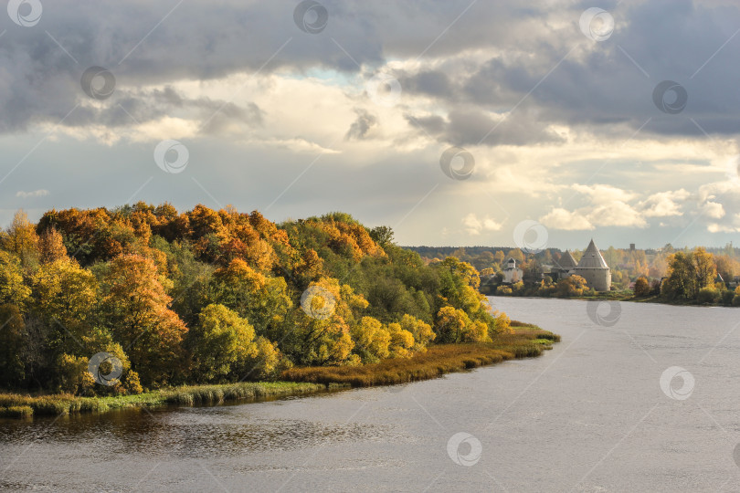 Скачать Осенний лес перед Староладожской крепостью. фотосток Ozero