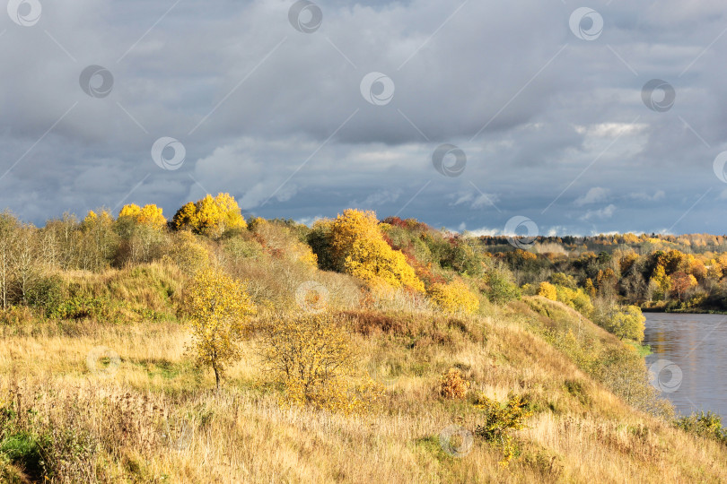 Скачать Осенние краски на берегу реки. фотосток Ozero