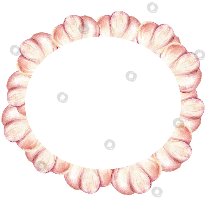 Скачать Акварель "Здоровая пища" в круглой рамке из чеснока. Нарисованная вручную розовая чесночная рамка для ресторана, меню, упаковки, дизайна логотипа фотосток Ozero