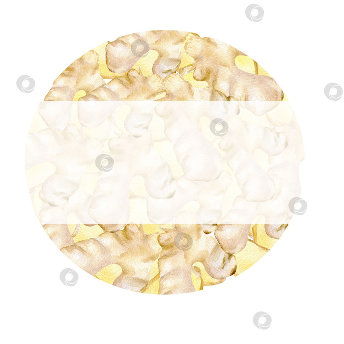 Скачать Акварельный пищевой круглый фон с пряным имбирем. Иллюстрация имбирной еды, нарисованная от руки для меню, ресторана, упаковки, дизайна логотипа фотосток Ozero