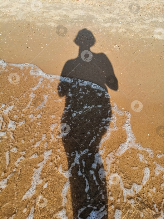 Скачать Тень горла на фоне набегающей волны для заставки. фотосток Ozero