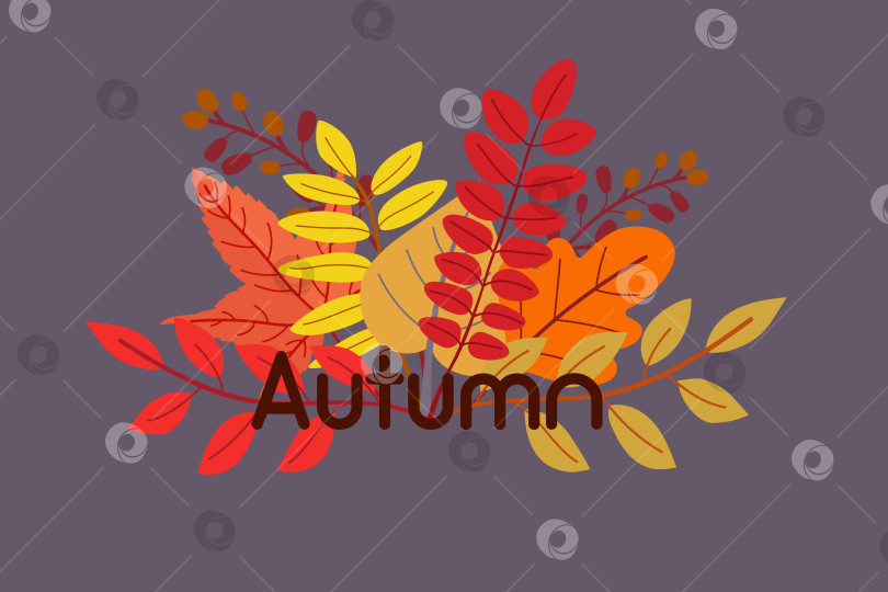 Скачать Осень, открытка. Осенний дизайн. фотосток Ozero