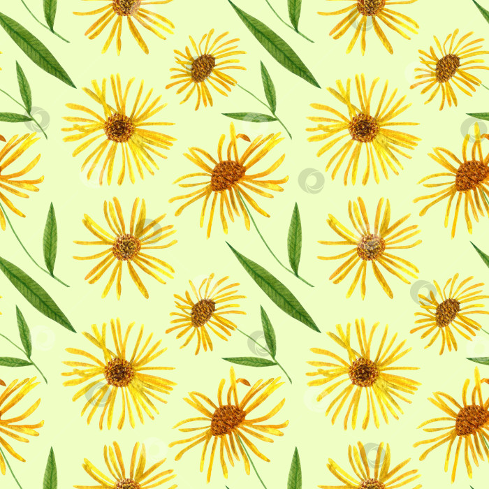 Скачать акварельный бесшовный узор из полевых цветов и трав. Дизайн для ткани, обоев, открыток, приглашений, бумаги для скрапбукинга или оберточной бумаги. фотосток Ozero