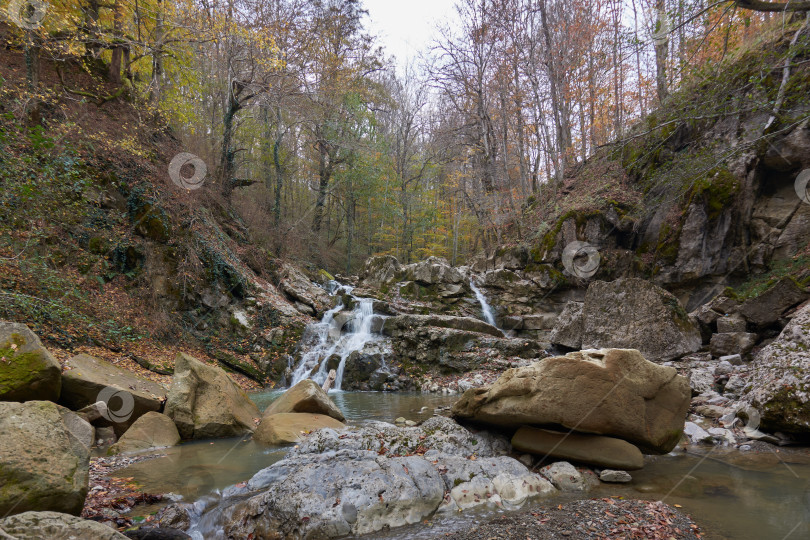 Скачать Водопад в осеннем лесу, река Аюк, Северный Кавказ, Россия фотосток Ozero