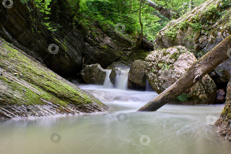 Скачать Водопад на горной реке с зеленой водой и весенним зеленым лесом на берегах фотосток Ozero