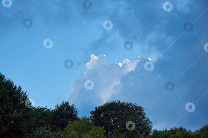Скачать Речевые облака в лучах солнца над лесом фотосток Ozero