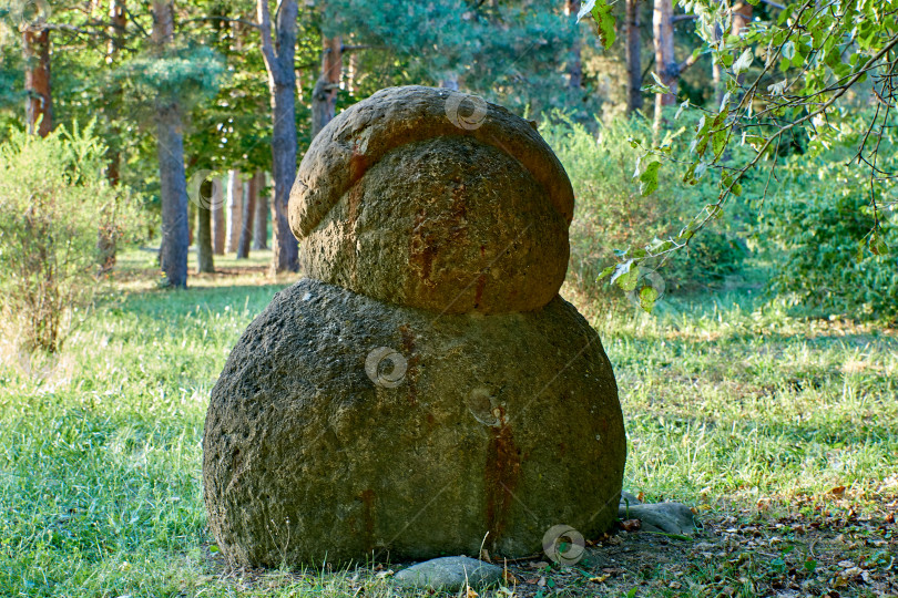 Скачать Окаменевший аммонит, похожий на инопланетного жителя. фотосток Ozero