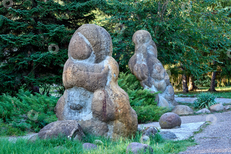 Скачать Окаменевший аммонит, похожий на инопланетного жителя. фотосток Ozero