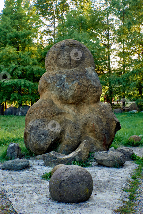 Скачать Окаменевший аммонит, похожий на инопланетного жителя. фотосток Ozero