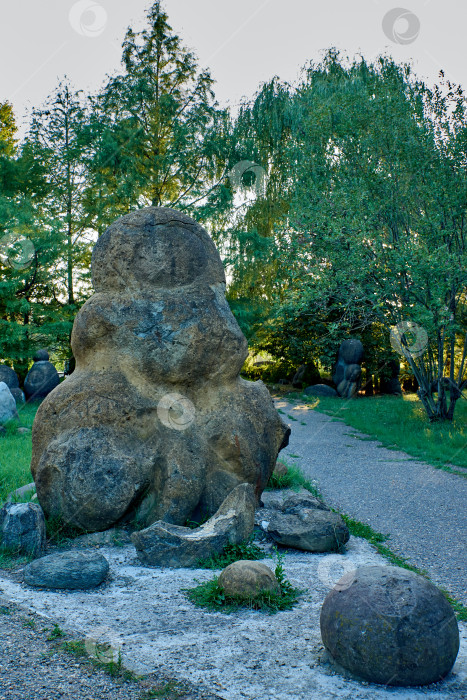 Скачать Окаменевший аммонит, похожий на инопланетного жителя. фотосток Ozero