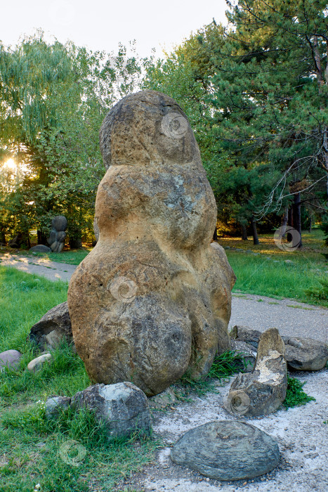 Скачать Окаменевший аммонит, похожий на инопланетного жителя. фотосток Ozero