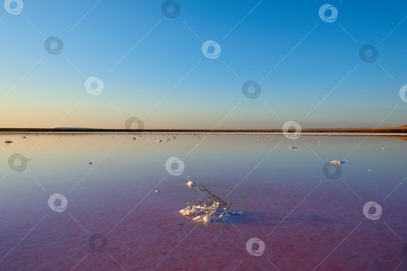 Скачать Закат на Кояшском соленом озере с розовой водой. фотосток Ozero