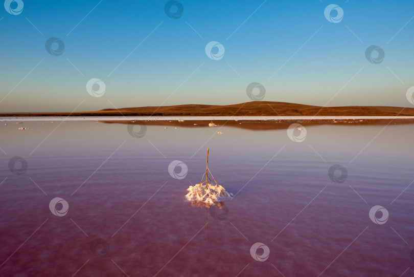 Скачать Закат на Кояшском соленом озере с розовой водой. фотосток Ozero