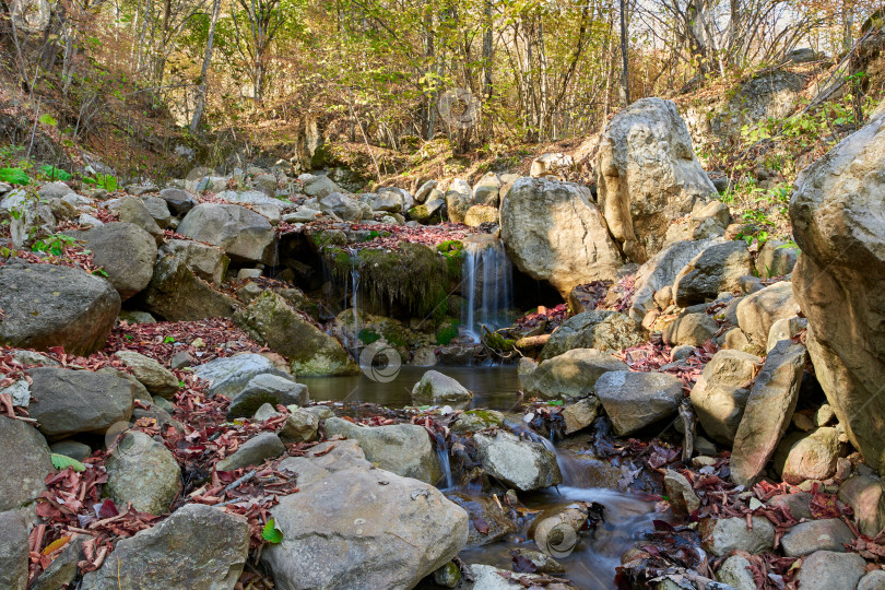 Скачать Небольшой водопад в осеннем лесу. Камни и листва фотосток Ozero
