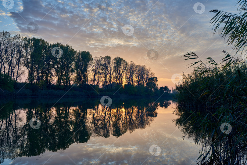 Скачать Осенний закат. Облачное небо и лес отражаются в воде озера. фотосток Ozero