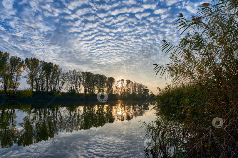 Скачать Осенний закат. Облачное небо и лес отражаются в воде озера. фотосток Ozero