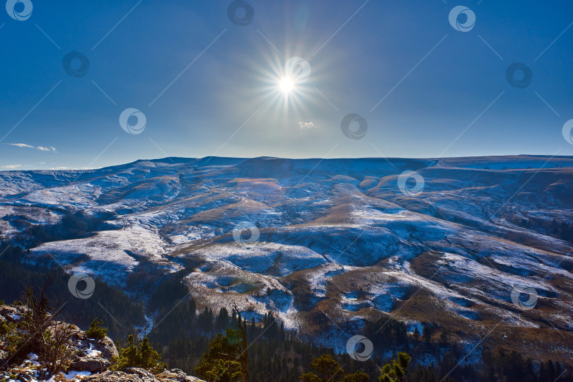 Скачать Яркое солнце освещает заснеженное горное плато. На переднем плане - сосны. Яркое солнце освещает горное плато. фотосток Ozero