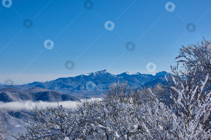 Скачать Заснеженные деревья в морозный зимний день на фоне заснеженных гор фотосток Ozero
