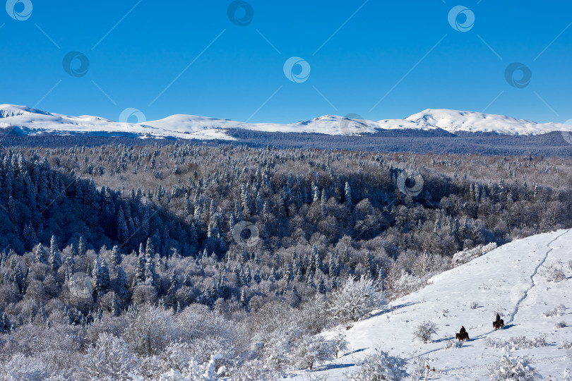 Скачать Два всадника на снегу на фоне гор и голубого неба фотосток Ozero