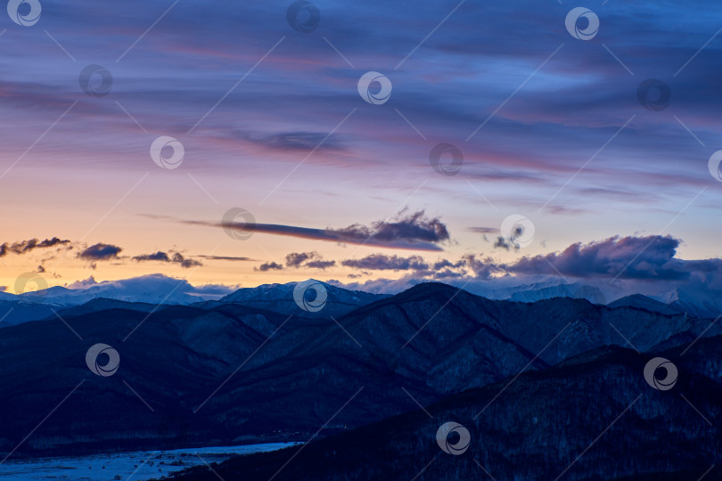 Скачать Пурпурно-голубые облака в рассветном небе над горным хребтом. Зимний лес на переднем плане. фотосток Ozero