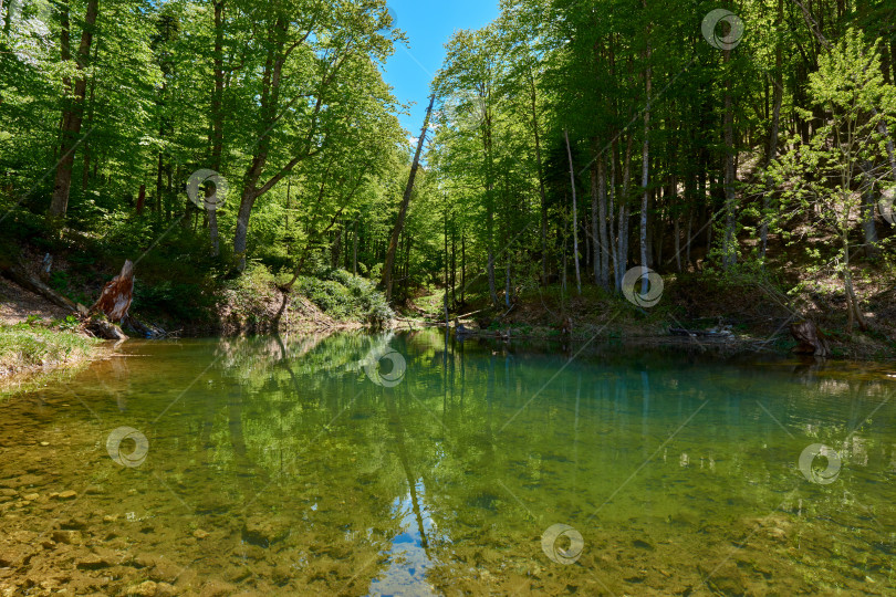 Скачать Небольшое озеро с прозрачной водой, окруженное зеленым лесом. фотосток Ozero