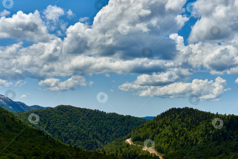 Скачать Белые кучевые облака над горной долиной, покрытой зеленым лесом фотосток Ozero
