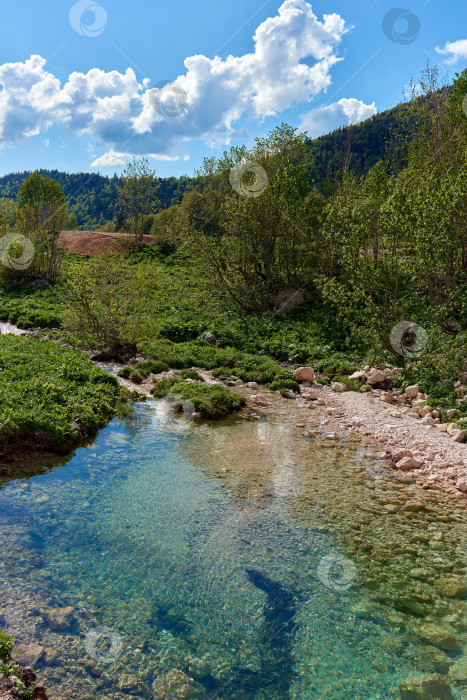 Скачать Небольшое озеро с бирюзово-прозрачной водой, окруженное зеленым лесом. фотосток Ozero