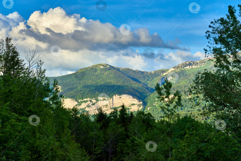 Скачать Белые кучевые облака над горной долиной, покрытой зеленым лесом фотосток Ozero