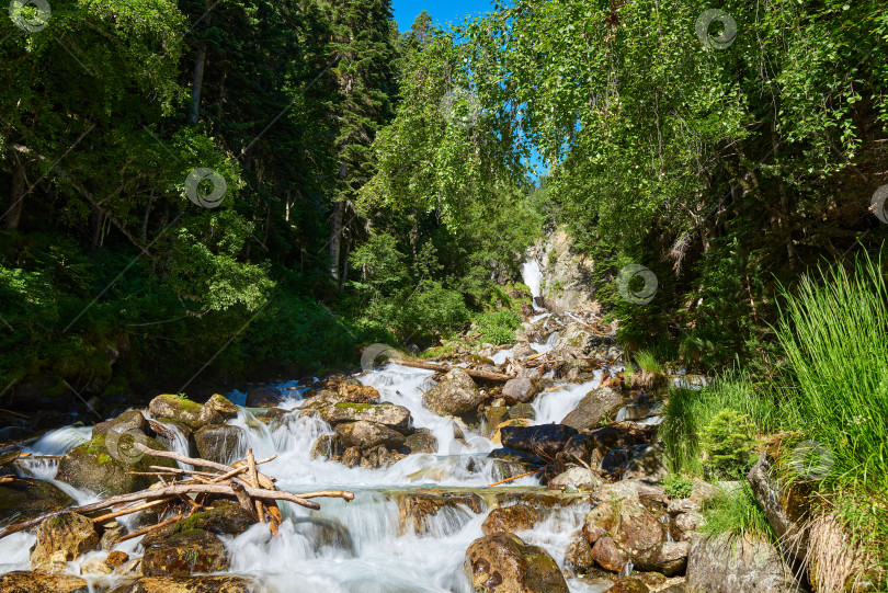 Скачать Горная река течет среди валунов и соснового леса фотосток Ozero