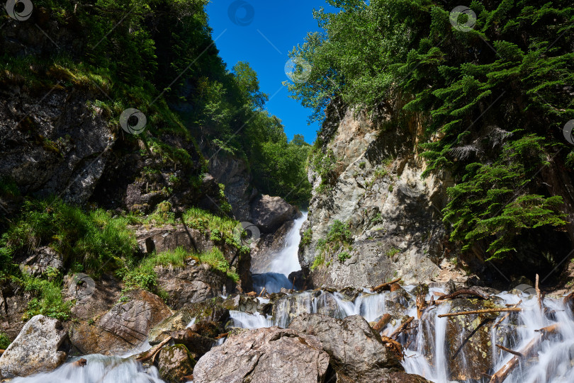 Скачать Горная река течет среди валунов и соснового леса фотосток Ozero