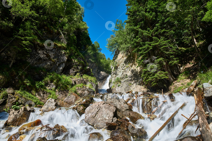 Скачать Горная река течет среди валунов и соснового леса фотосток Ozero