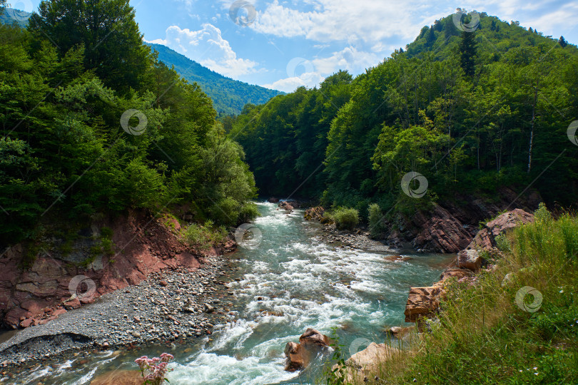 Скачать Горная река с зеленой водой, окруженная берегами из красного гранита и зеленым лесом фотосток Ozero