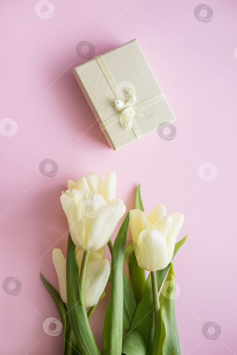 Скачать Желтые цветы тюльпана расположены на розовом фоне. Вид сверху, плоская местность. Пустое место для текста. Концепция весны. Женский день. фотосток Ozero