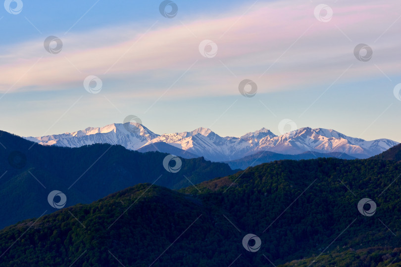 Скачать Заснеженные горные хребты на восходе солнца и зеленый лес на переднем плане фотосток Ozero