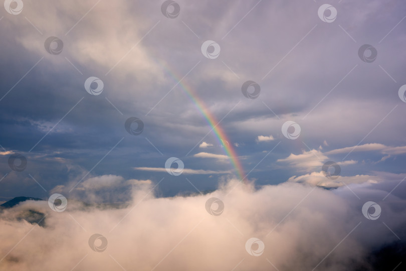 Скачать Радуга на фоне кучевых облаков фотосток Ozero