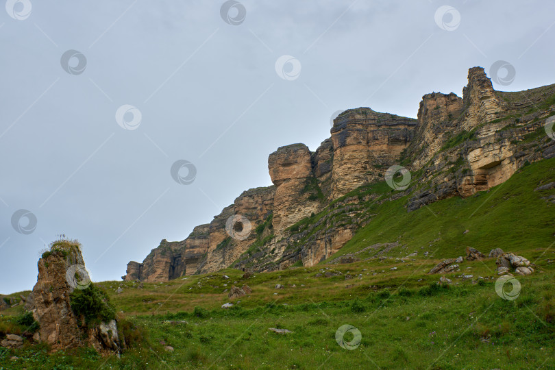 Скачать Скалы, похожие на головы животных, на зеленом переднем плане фотосток Ozero