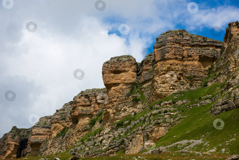 Скачать Скалы, похожие на головы животных, на зеленом переднем плане фотосток Ozero