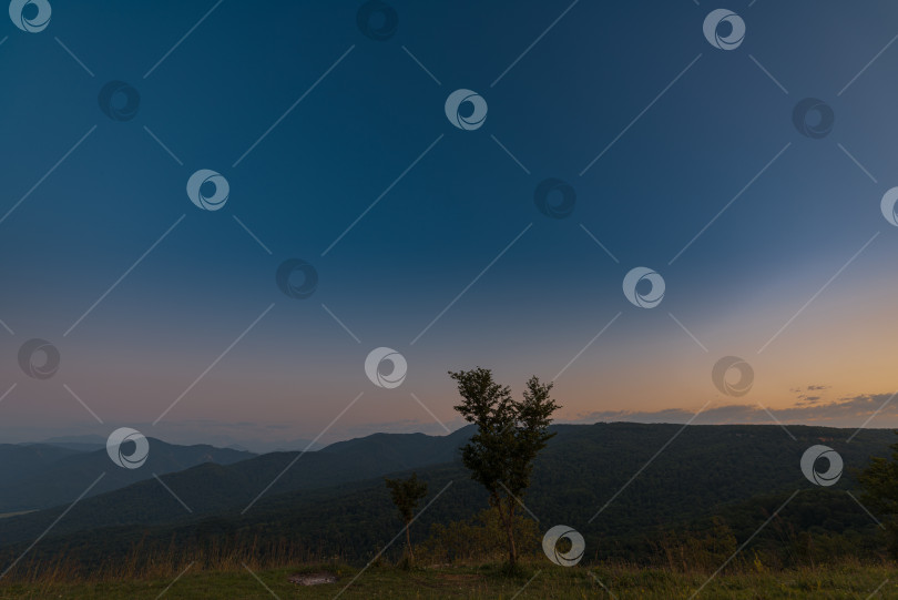 Скачать Два дерева на фоне гор и закатного неба фотосток Ozero