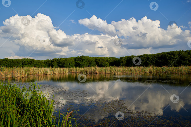 Скачать Голубое небо и облака отражаются в спокойных водах озера фотосток Ozero