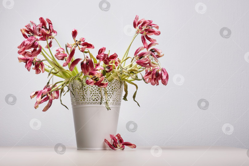 Скачать Увядший букет сухих цветов в вазе на столе. фотосток Ozero