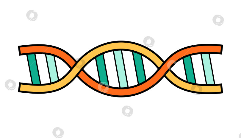 Скачать Значок ДНК-образования научной школы. Карикатурный символ генной технологии в лаборатории химии и физики. Жирная яркая цепочка молекулярной структуры. Векторная иллюстрация, выделенная на белом фоне. фотосток Ozero