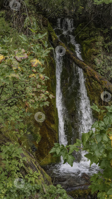 Скачать Живописный водопад. фотосток Ozero