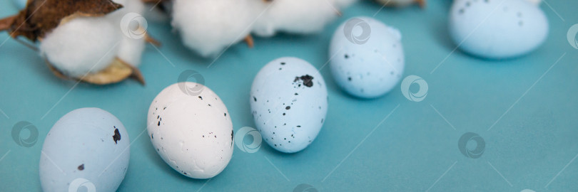 Скачать Пасхальный фон. Окрашенные в сине-белый цвет перепелиные яйца на синем фоне фотосток Ozero