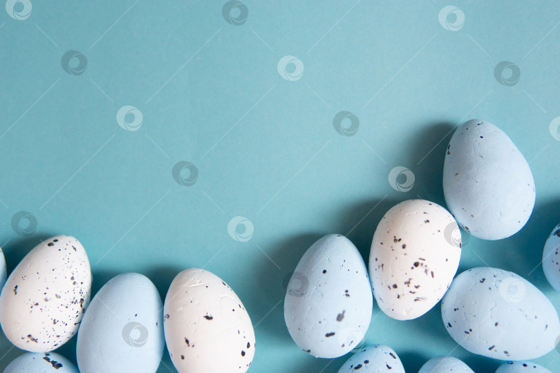 Скачать Пасхальный фон. Окрашенные в сине-белый цвет перепелиные яйца на синем фоне фотосток Ozero