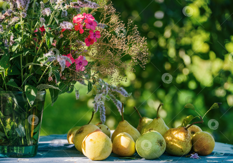 Скачать груши лежат на столе рядом с вазой с цветами в саду фотосток Ozero