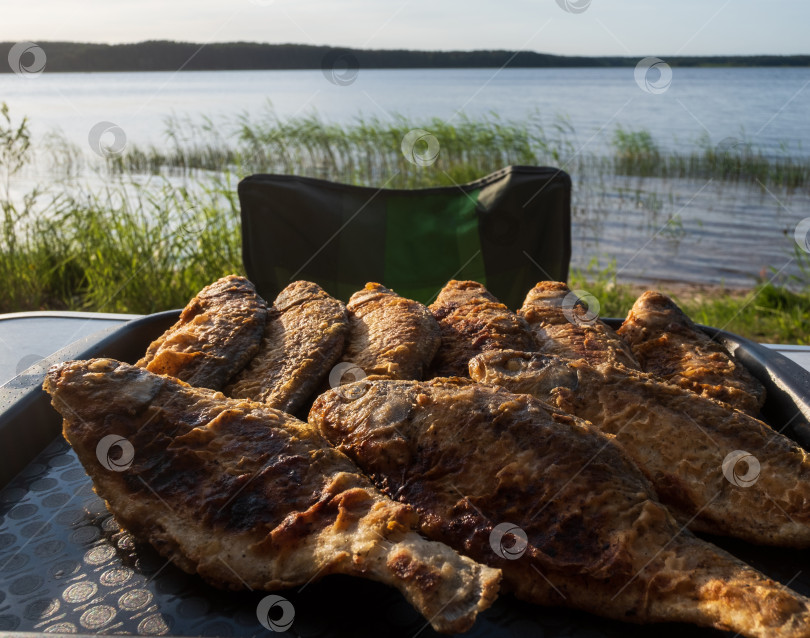 Скачать жареная рыба на столе перед озером фотосток Ozero